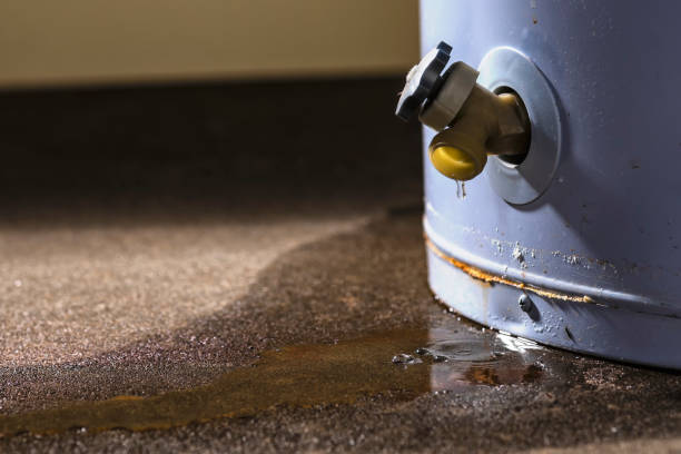 Best Basement water damage restoration  in Sandstone, MN