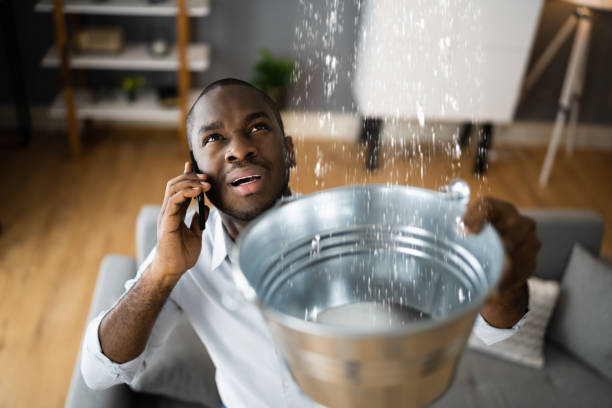 Best Local water damage restoration  in Sandstone, MN