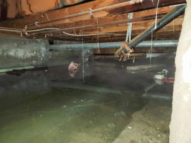 Best Residential water damage restoration  in Sandstone, MN