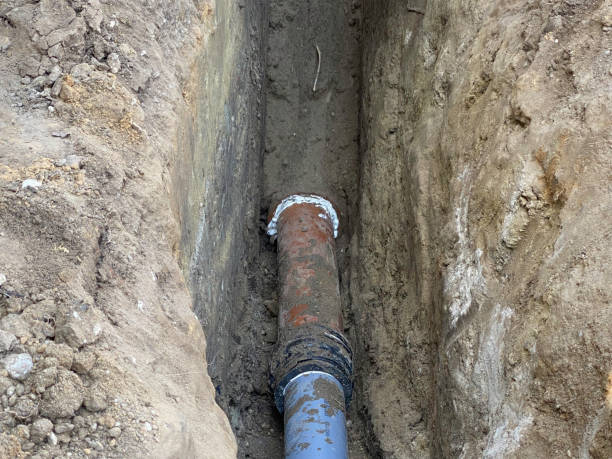 Best Mold removal after water damage  in Sandstone, MN