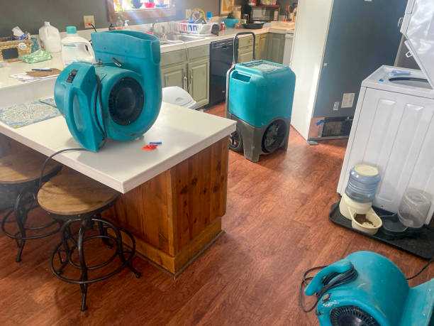 Best Carpet water damage restoration  in Sandstone, MN