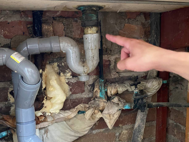 Best Commercial water damage restoration  in Sandstone, MN