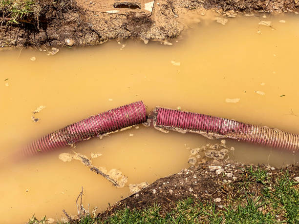 Best 24-hour water damage restoration  in Sandstone, MN