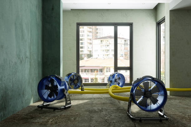 Best Water damage mitigation services  in Sandstone, MN